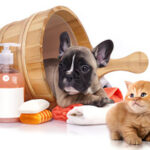 Shine & Style for Pets