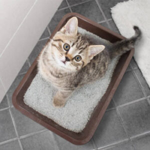 litter-box-accessories-cats